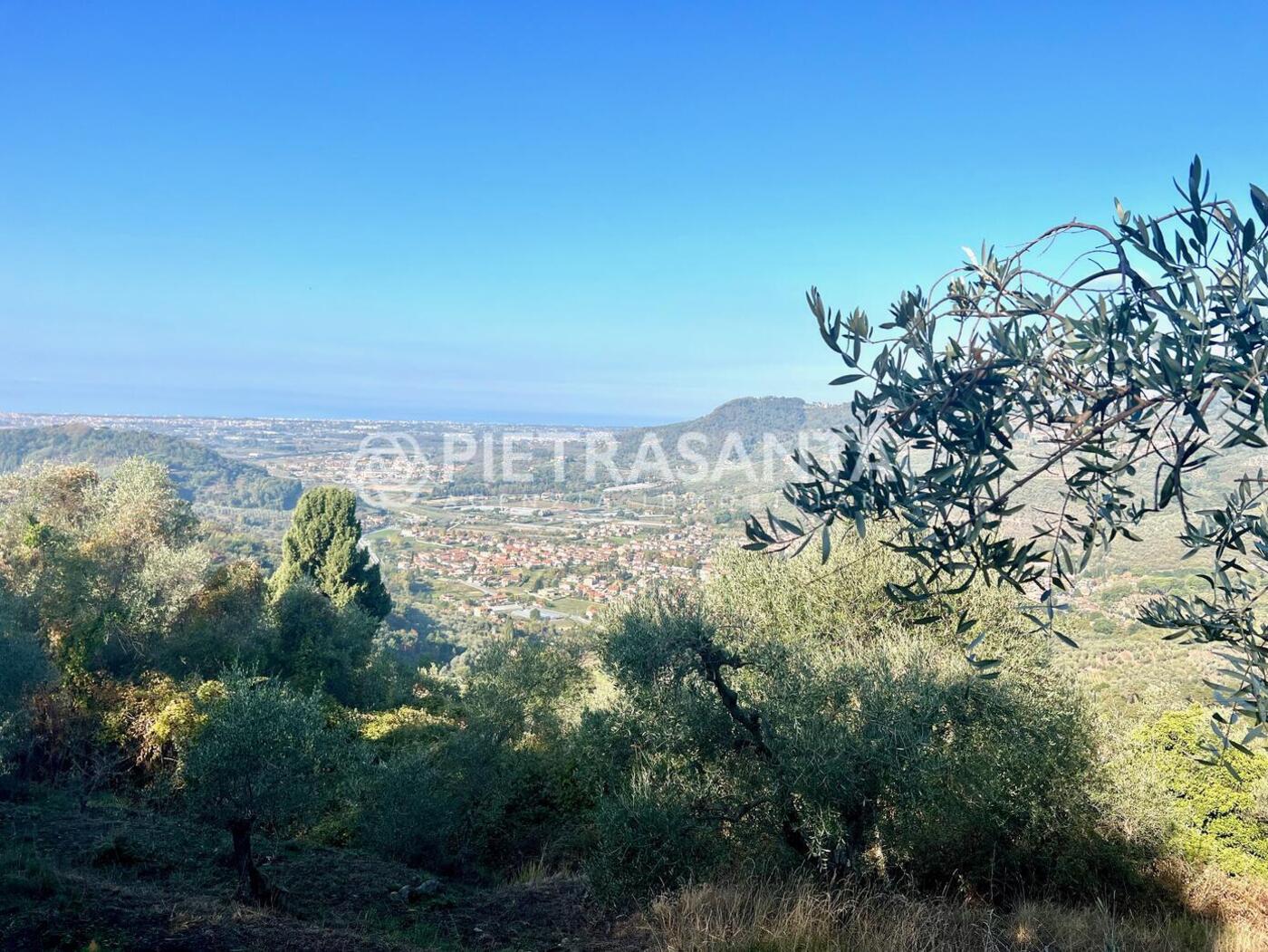 Copertina post:  Ville storiche in stile lucchese sulle colline della Versilia